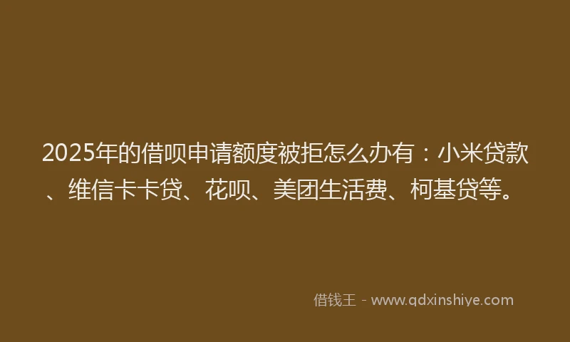 2025年的借呗申请额度被拒怎么办有：小米贷款、维信卡卡贷、花呗、美团生活费、柯基贷等。
