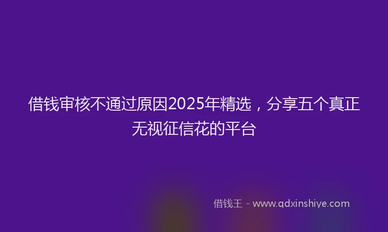 借钱审核不通过原因2025年精选，分享五个真正无视征信花的平台