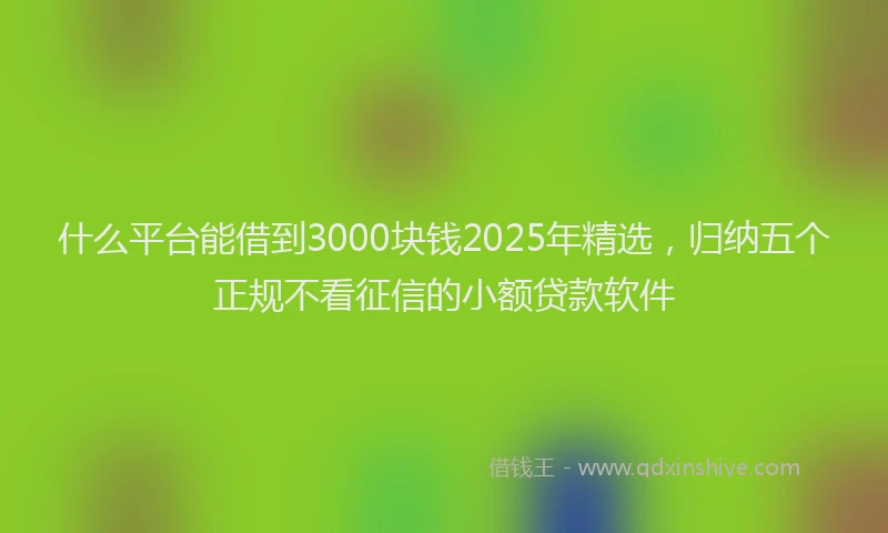 什么平台能借到3000块钱2025年精选，归纳五个正规不看征信的小额贷款软件