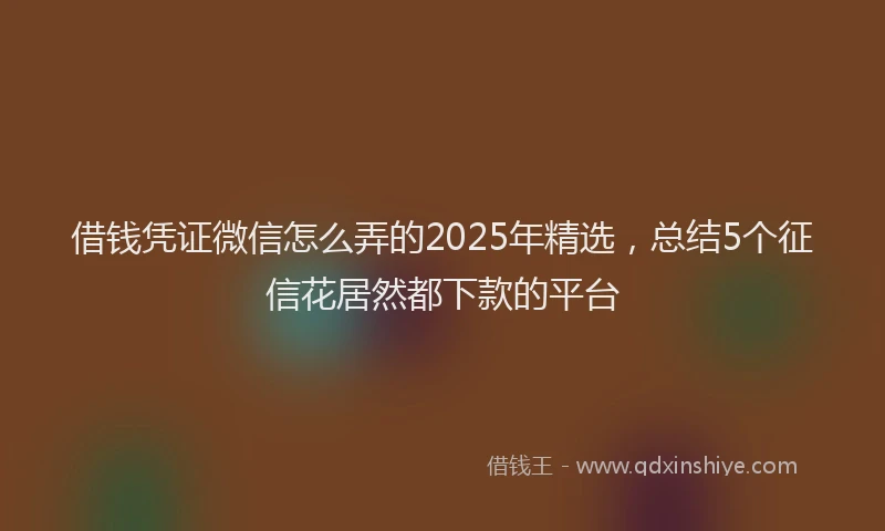 借钱凭证微信怎么弄的2025年精选，总结5个征信花居然都下款的平台