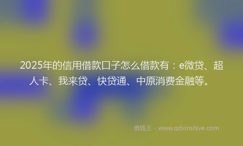 2025年的信用借款口子怎么借款有：e微贷、超人卡、我来贷、快贷通、中原消费金融等。