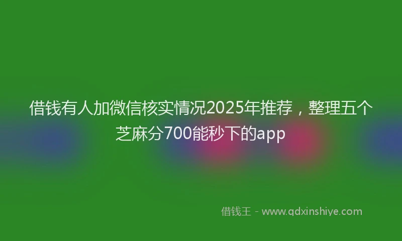 借钱有人加微信核实情况2025年推荐，整理五个芝麻分700能秒下的app