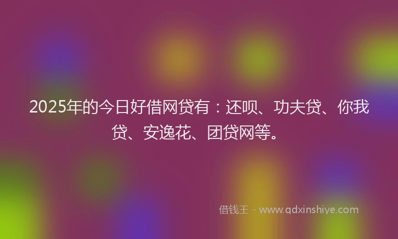 2025年的今日好借网贷有：还呗、功夫贷、你我贷、安逸花、团贷网等。