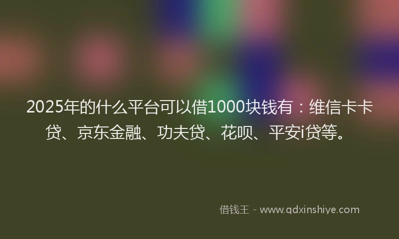 2025年的什么平台可以借1000块钱有：维信卡卡贷、京东金融、功夫贷、花呗、平安i贷等。