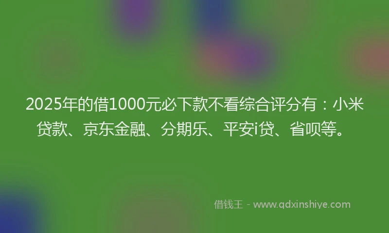 2025年的借1000元必下款不看综合评分有：小米贷款、京东金融、分期乐、平安i贷、省呗等。
