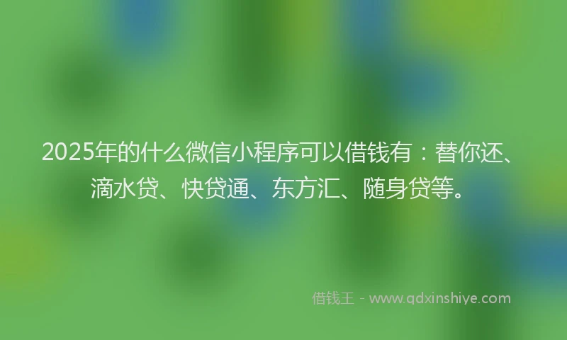 2025年的什么微信小程序可以借钱有：替你还、滴水贷、快贷通、东方汇、随身贷等。