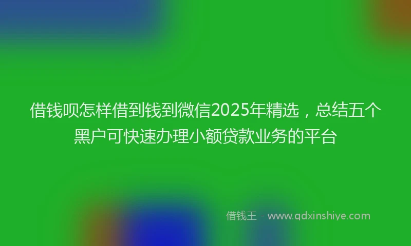 借钱呗怎样借到钱到微信2025年精选，总结五个黑户可快速办理小额贷款业务的平台