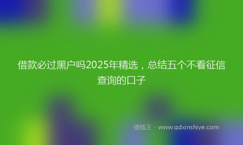 借款必过黑户吗2025年精选，总结五个不看征信查询的口子