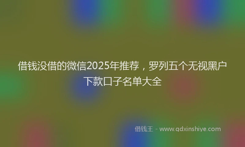 借钱没借的微信2025年推荐，罗列五个无视黑户下款口子名单大全