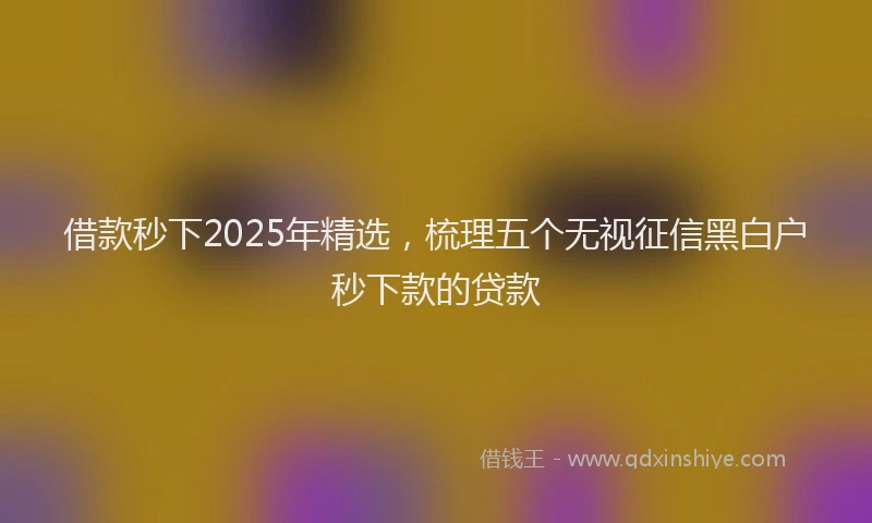 借款秒下2025年精选，梳理五个无视征信黑白户秒下款的贷款
