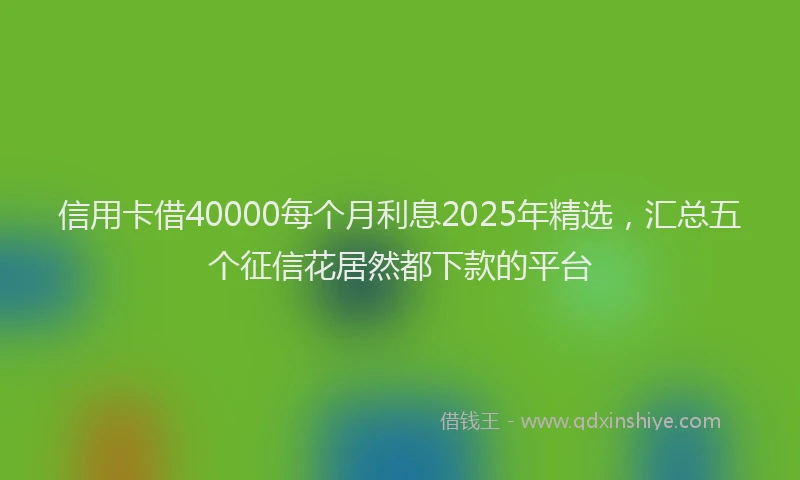 信用卡借40000每个月利息2025年精选，汇总五个征信花居然都下款的平台
