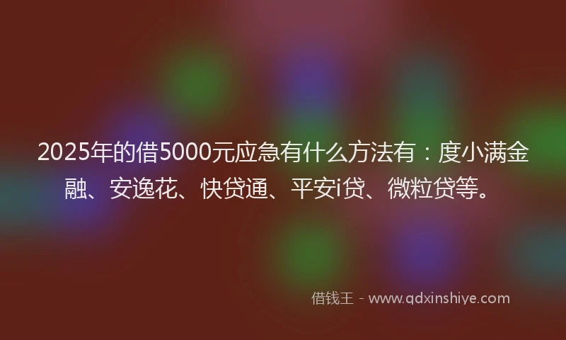 2025年的借5000元应急有什么方法有：度小满金融、安逸花、快贷通、平安i贷、微粒贷等。