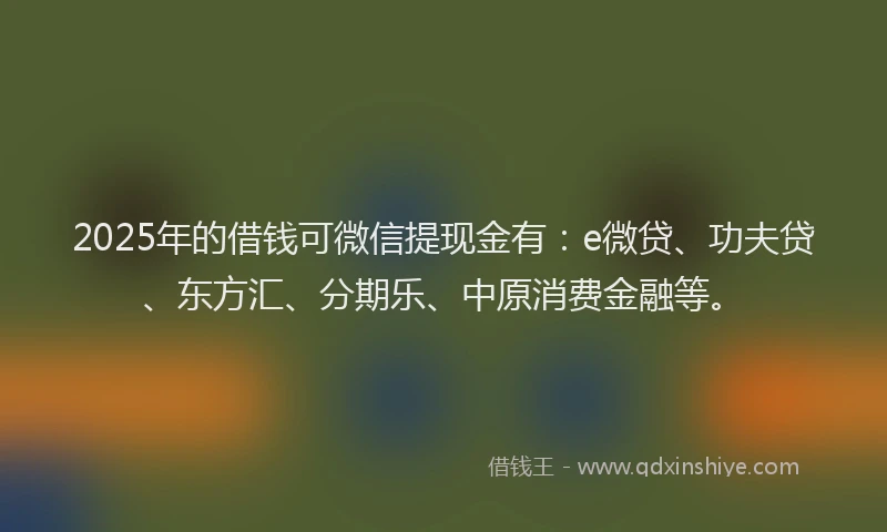 2025年的借钱可微信提现金有：e微贷、功夫贷、东方汇、分期乐、中原消费金融等。