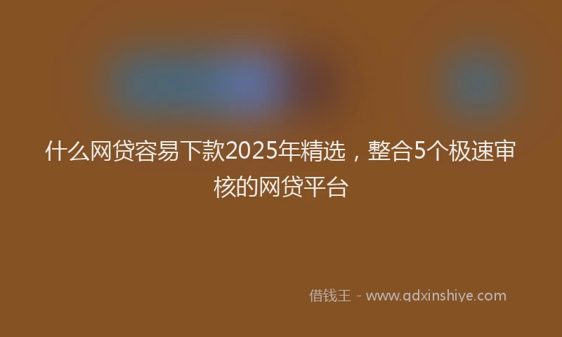 什么网贷容易下款2025年精选，整合5个极速审核的网贷平台