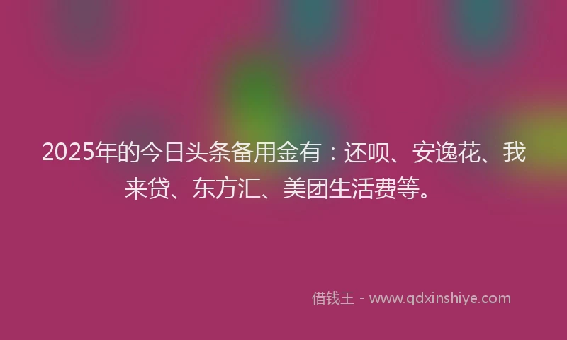 2025年的今日头条备用金有：还呗、安逸花、我来贷、东方汇、美团生活费等。