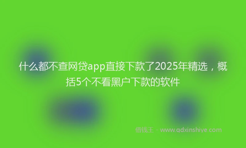什么都不查网贷app直接下款了2025年精选，概括5个不看黑户下款的软件