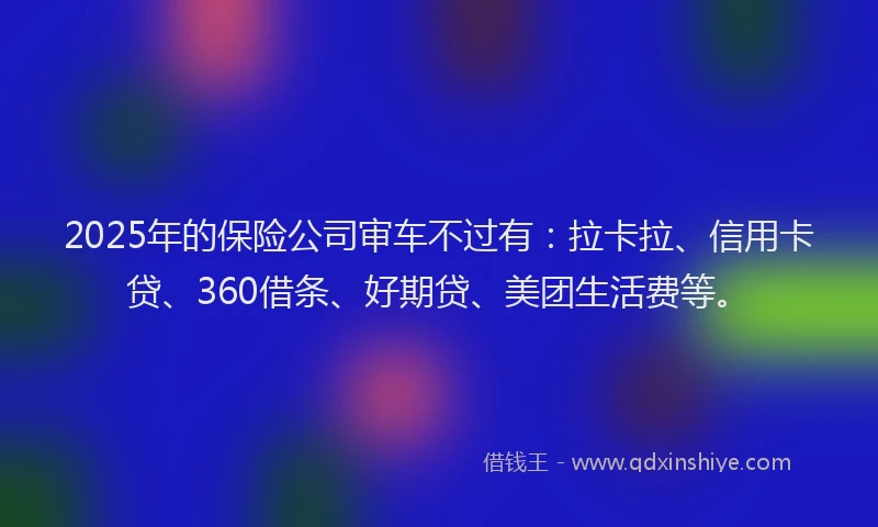 2025年的保险公司审车不过有：拉卡拉、信用卡贷、360借条、好期贷、美团生活费等。