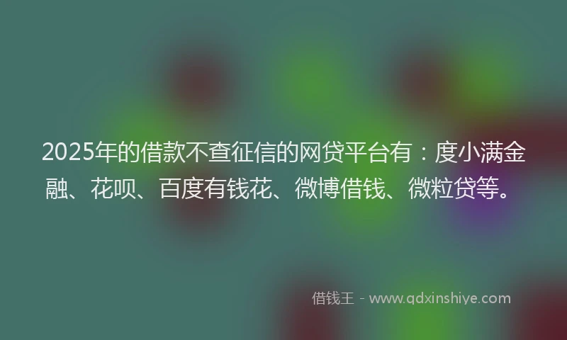 2025年的借款不查征信的网贷平台有：度小满金融、花呗、百度有钱花、微博借钱、微粒贷等。