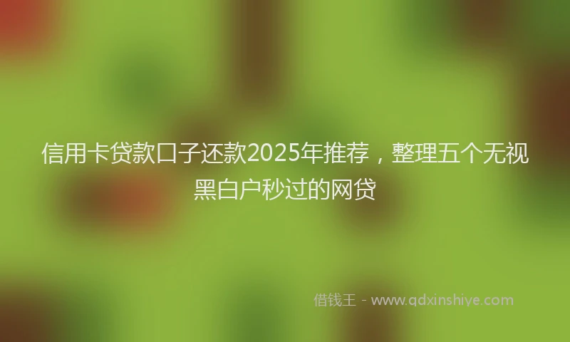 信用卡贷款口子还款2025年推荐，整理五个无视黑白户秒过的网贷