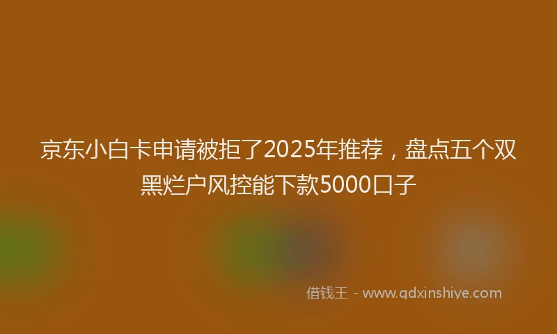 京东小白卡申请被拒了2025年推荐，盘点五个双黑烂户风控能下款5000口子