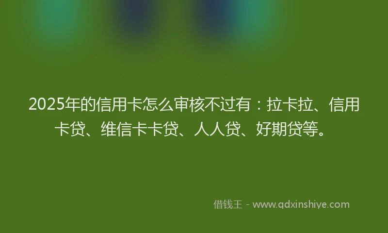2025年的信用卡怎么审核不过有：拉卡拉、信用卡贷、维信卡卡贷、人人贷、好期贷等。