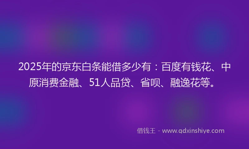 2025年的京东白条能借多少有：百度有钱花、中原消费金融、51人品贷、省呗、融逸花等。