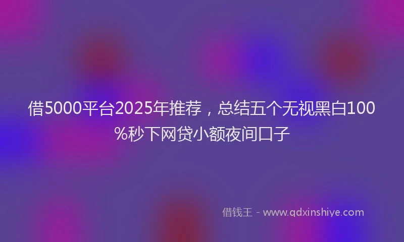 借5000平台2025年推荐，总结五个无视黑白100%秒下网贷小额夜间口子