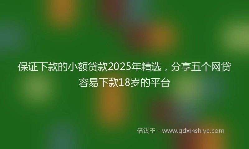 保证下款的小额贷款2025年精选，分享五个网贷容易下款18岁的平台