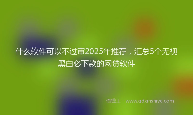 什么软件可以不过审2025年推荐，汇总5个无视黑白必下款的网贷软件