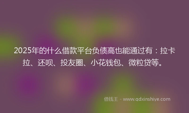 2025年的什么借款平台负债高也能通过有：拉卡拉、还呗、投友圈、小花钱包、微粒贷等。