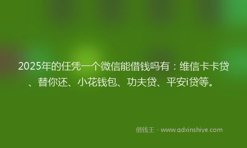 2025年的任凭一个微信能借钱吗有：维信卡卡贷、替你还、小花钱包、功夫贷、平安i贷等。