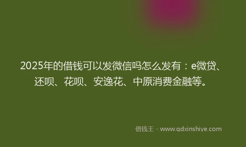 2025年的借钱可以发微信吗怎么发有：e微贷、还呗、花呗、安逸花、中原消费金融等。