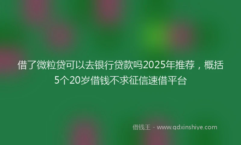 借了微粒贷可以去银行贷款吗2025年推荐，概括5个20岁借钱不求征信速借平台
