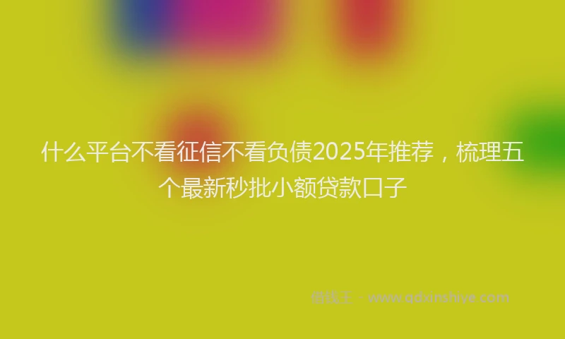 什么平台不看征信不看负债2025年推荐，梳理五个最新秒批小额贷款口子