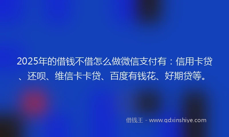 2025年的借钱不借怎么做微信支付有：信用卡贷、还呗、维信卡卡贷、百度有钱花、好期贷等。