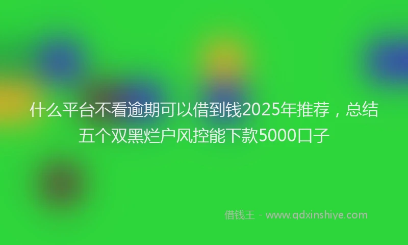 什么平台不看逾期可以借到钱2025年推荐，总结五个双黑烂户风控能下款5000口子