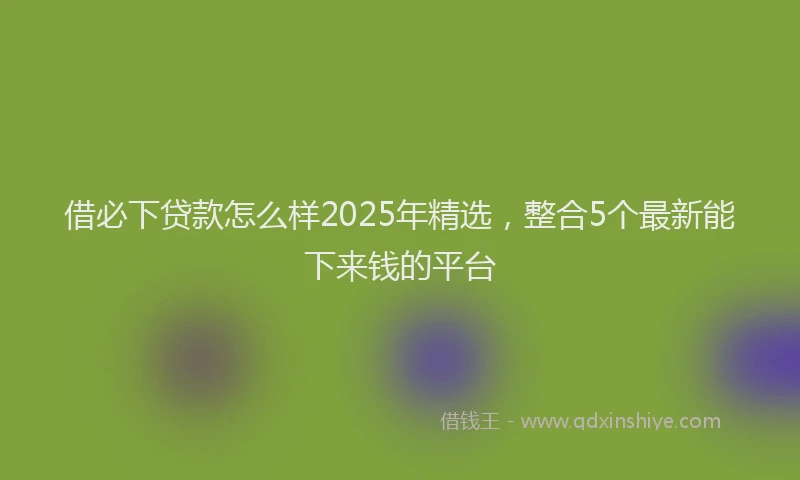 借必下贷款怎么样2025年精选，整合5个最新能下来钱的平台