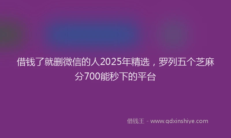 借钱了就删微信的人2025年精选，罗列五个芝麻分700能秒下的平台