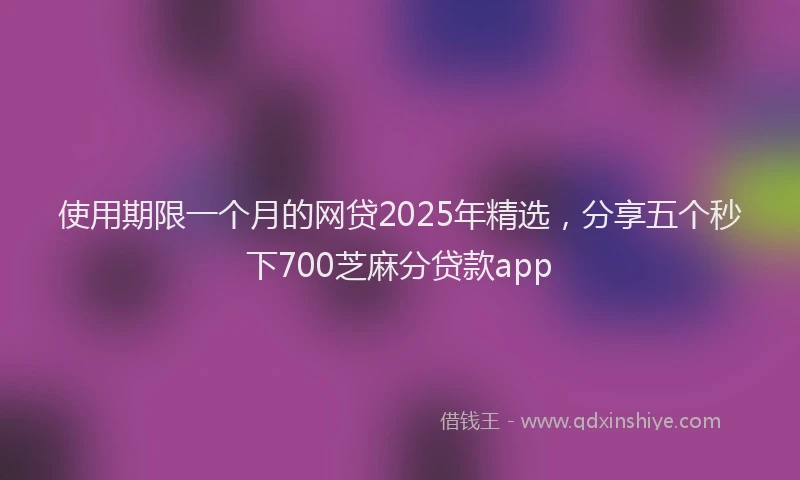 使用期限一个月的网贷2025年精选，分享五个秒下700芝麻分贷款app