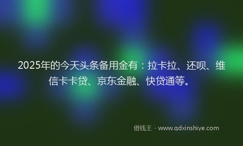 2025年的今天头条备用金有：拉卡拉、还呗、维信卡卡贷、京东金融、快贷通等。