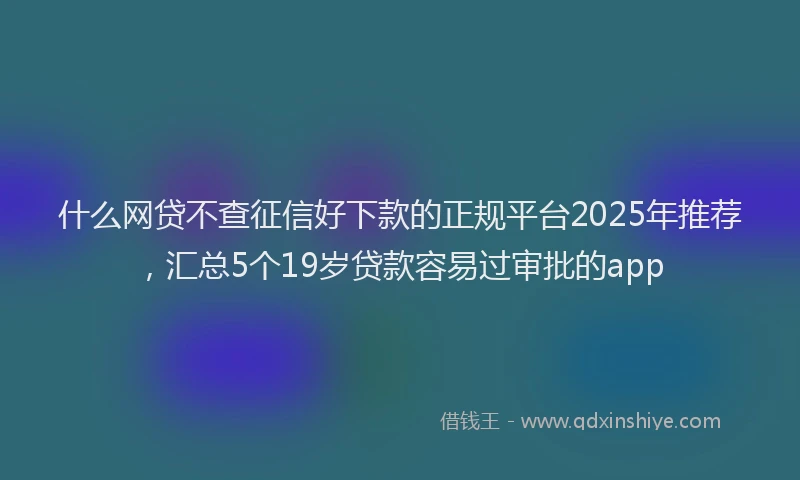 什么网贷不查征信好下款的正规平台2025年推荐，汇总5个19岁贷款容易过审批的app