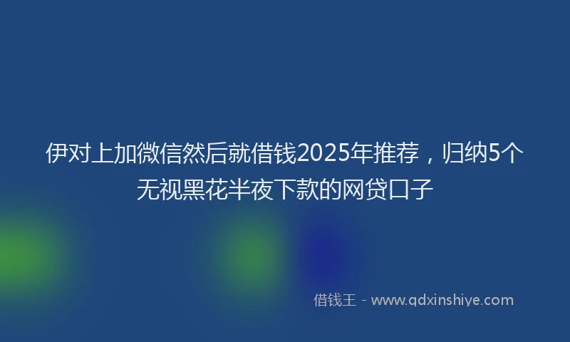 伊对上加微信然后就借钱2025年推荐，归纳5个无视黑花半夜下款的网贷口子