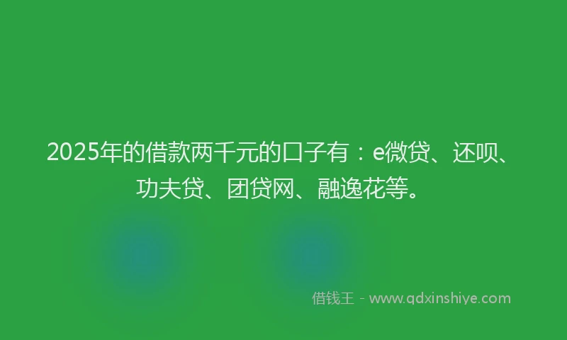 2025年的借款两千元的口子有：e微贷、还呗、功夫贷、团贷网、融逸花等。