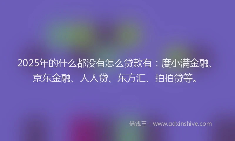 2025年的什么都没有怎么贷款有：度小满金融、京东金融、人人贷、东方汇、拍拍贷等。