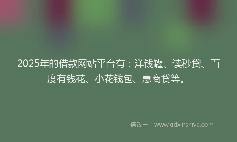2025年的借款网站平台有：洋钱罐、读秒贷、百度有钱花、小花钱包、惠商贷等。