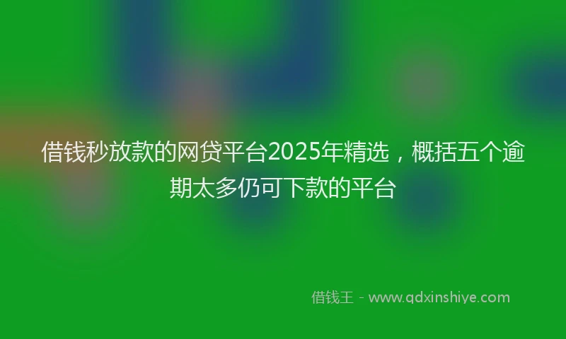 借钱秒放款的网贷平台2025年精选，概括五个逾期太多仍可下款的平台