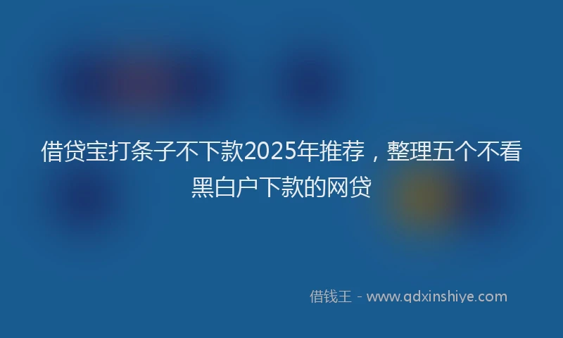 借贷宝打条子不下款2025年推荐，整理五个不看黑白户下款的网贷