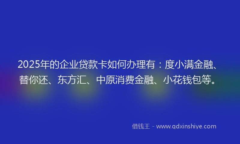 2025年的企业贷款卡如何办理有：度小满金融、替你还、东方汇、中原消费金融、小花钱包等。