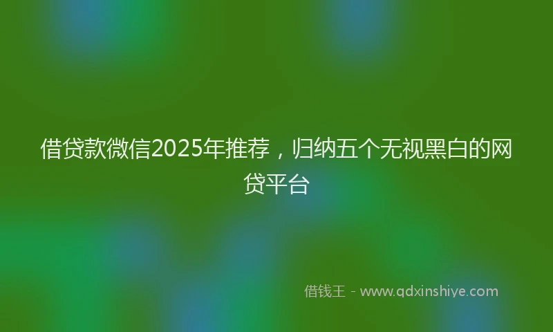借贷款微信2025年推荐，归纳五个无视黑白的网贷平台