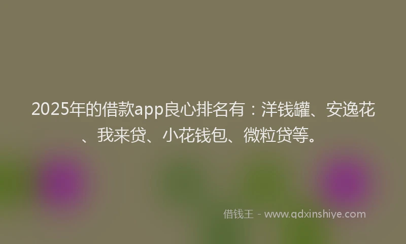 2025年的借款app良心排名有：洋钱罐、安逸花、我来贷、小花钱包、微粒贷等。